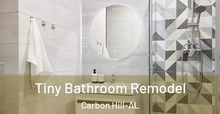 inner Bathroom imggen Tiny Bathroom Remodel Carbon Hill-AL