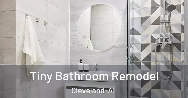 inner Bathroom imggen Tiny Bathroom Remodel Cleveland-AL