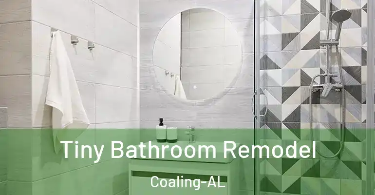 inner Bathroom imggen Tiny Bathroom Remodel Coaling-AL