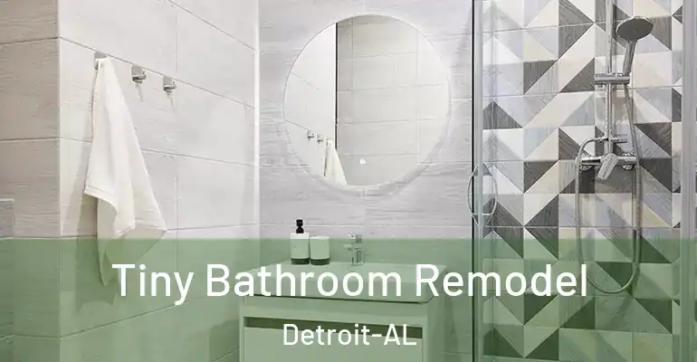 inner Bathroom imggen Tiny Bathroom Remodel Detroit-AL
