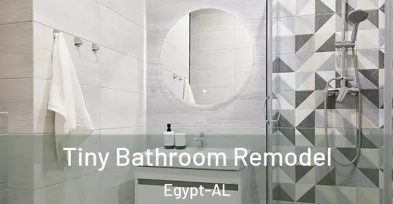 inner Bathroom imggen Tiny Bathroom Remodel Egypt-AL