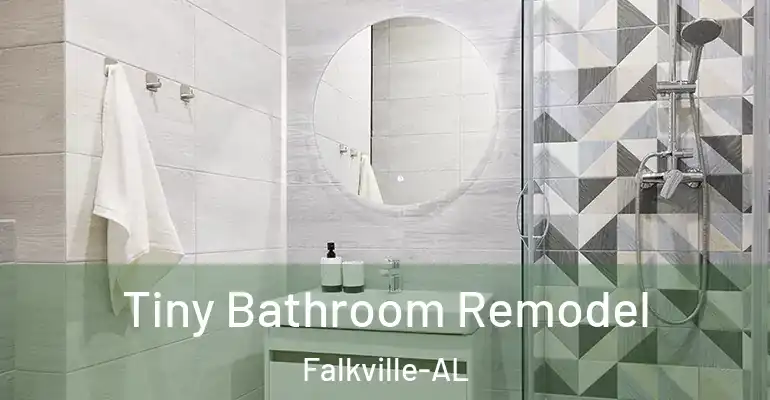 inner Bathroom imggen Tiny Bathroom Remodel Falkville-AL