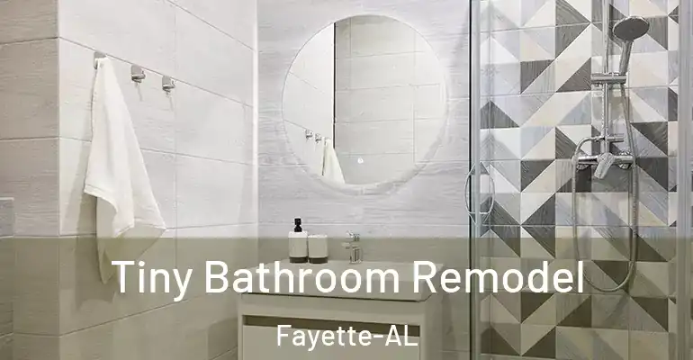 inner Bathroom imggen Tiny Bathroom Remodel Fayette-AL