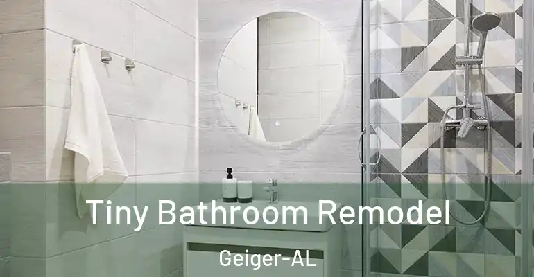 inner Bathroom imggen Tiny Bathroom Remodel Geiger-AL