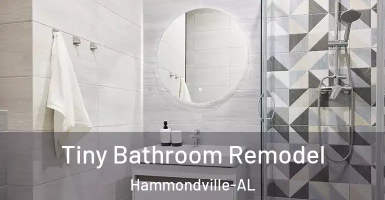 inner Bathroom imggen Tiny Bathroom Remodel Hammondville-AL