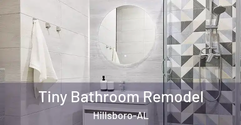inner Bathroom imggen Tiny Bathroom Remodel Hillsboro-AL