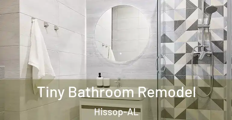 inner Bathroom imggen Tiny Bathroom Remodel Hissop-AL