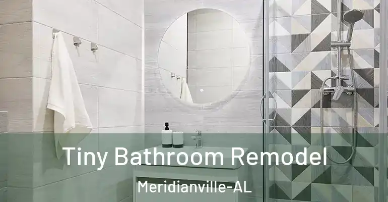 inner Bathroom imggen Tiny Bathroom Remodel Meridianville-AL