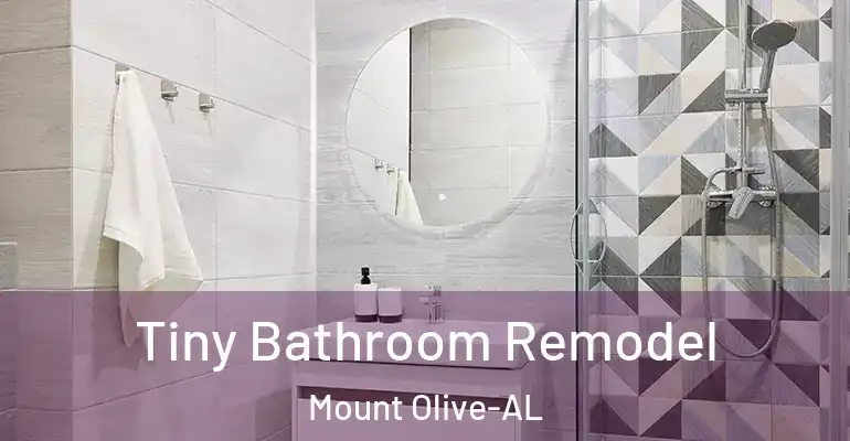 inner Bathroom imggen Tiny Bathroom Remodel Mount Olive-AL