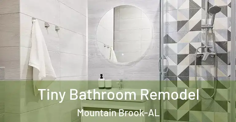 inner Bathroom imggen Tiny Bathroom Remodel Mountain Brook-AL