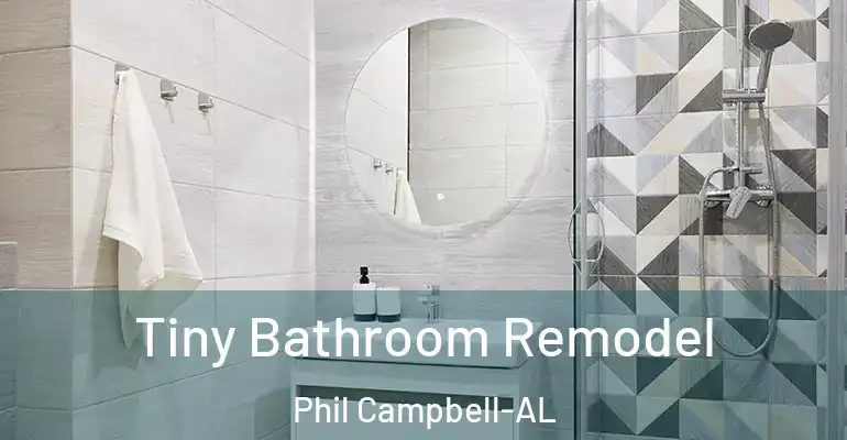 inner Bathroom imggen Tiny Bathroom Remodel Phil Campbell-AL