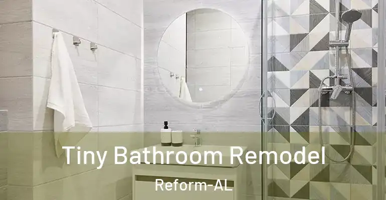 inner Bathroom imggen Tiny Bathroom Remodel Reform-AL