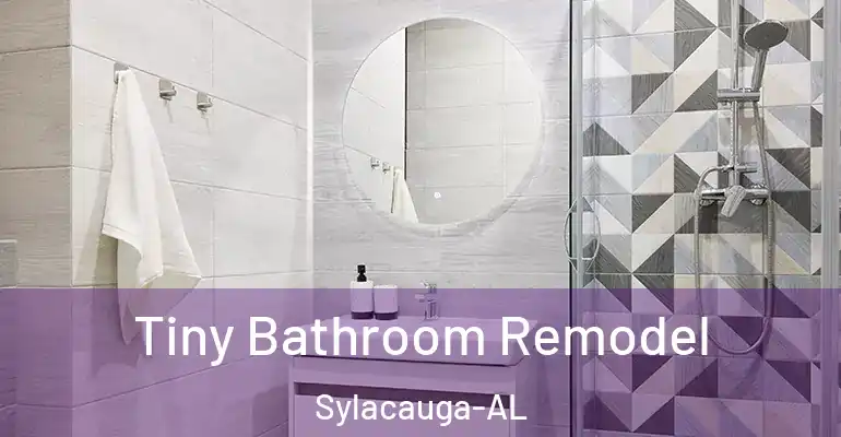 inner Bathroom imggen Tiny Bathroom Remodel Sylacauga-AL