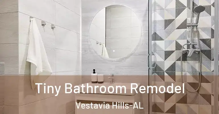 inner Bathroom imggen Tiny Bathroom Remodel Vestavia Hills-AL