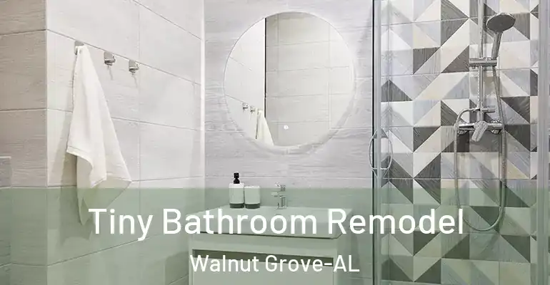 inner Bathroom imggen Tiny Bathroom Remodel Walnut Grove-AL