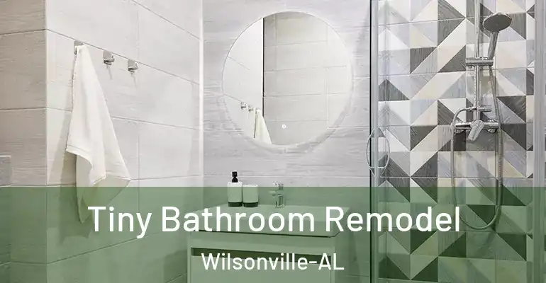inner Bathroom imggen Tiny Bathroom Remodel Wilsonville-AL