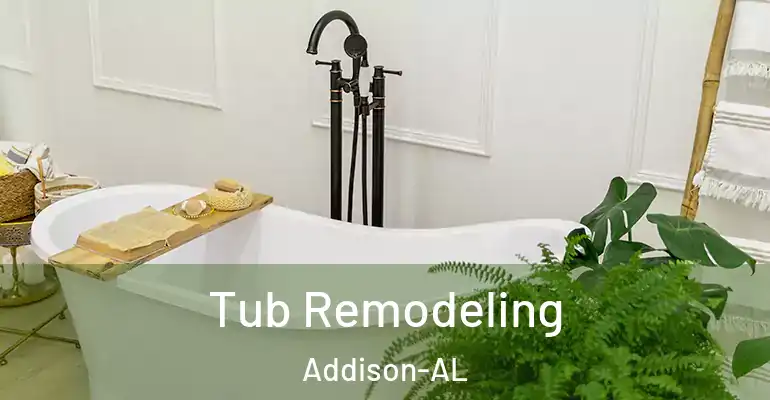 inner Bathroom imggen Tub Remodeling Addison-AL