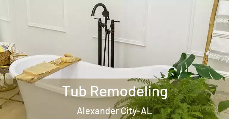inner Bathroom imggen Tub Remodeling Alexander City-AL