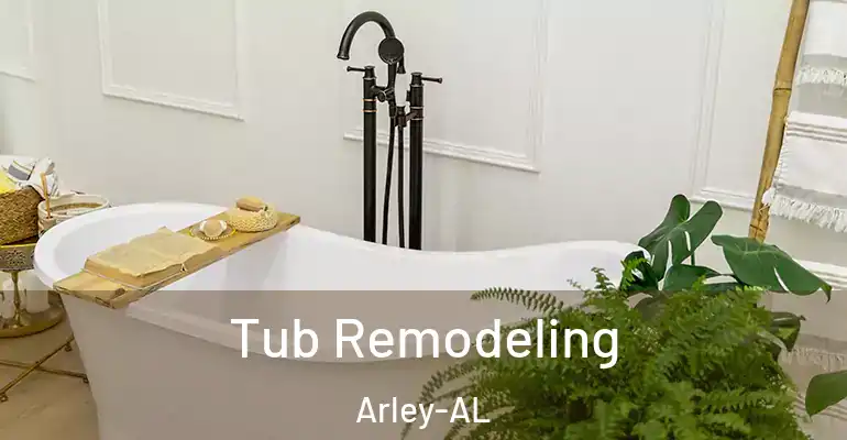 inner Bathroom imggen Tub Remodeling Arley-AL