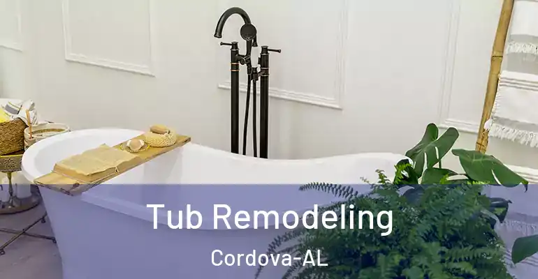 inner Bathroom imggen Tub Remodeling Cordova-AL