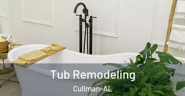 inner Bathroom imggen Tub Remodeling Cullman-AL