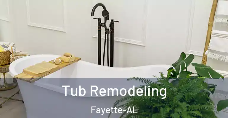 inner Bathroom imggen Tub Remodeling Fayette-AL