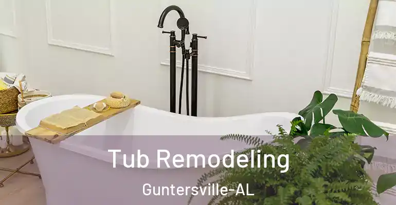 inner Bathroom imggen Tub Remodeling Guntersville-AL
