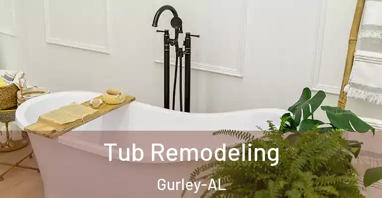 inner Bathroom imggen Tub Remodeling Gurley-AL