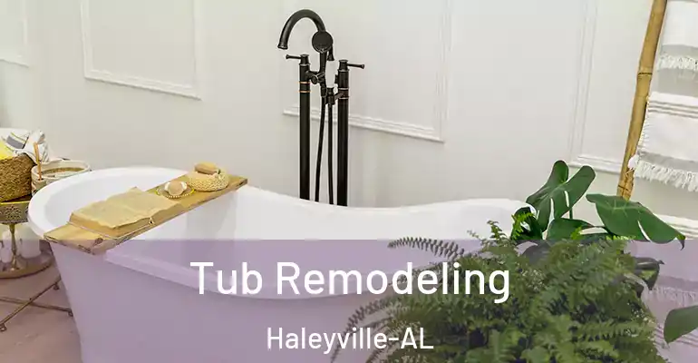 inner Bathroom imggen Tub Remodeling Haleyville-AL