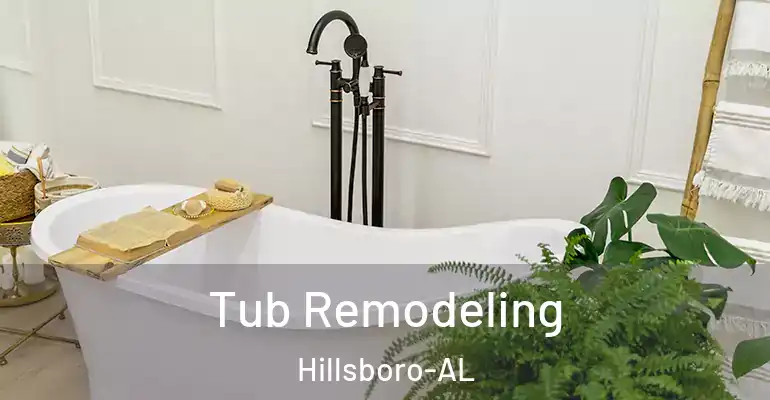 inner Bathroom imggen Tub Remodeling Hillsboro-AL