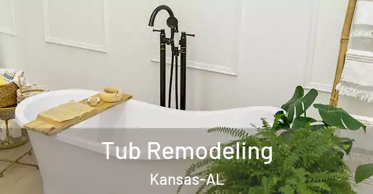 inner Bathroom imggen Tub Remodeling Kansas-AL