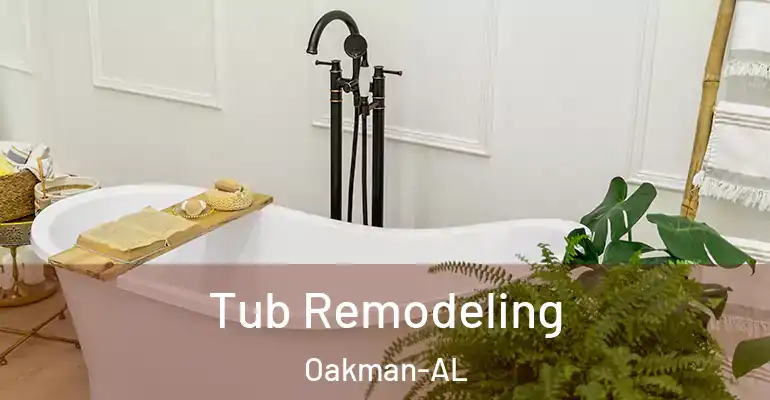 inner Bathroom imggen Tub Remodeling Oakman-AL