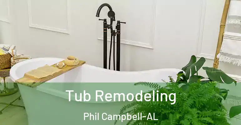 inner Bathroom imggen Tub Remodeling Phil Campbell-AL