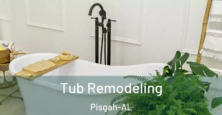 inner Bathroom imggen Tub Remodeling Pisgah-AL
