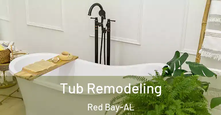 inner Bathroom imggen Tub Remodeling Red Bay-AL