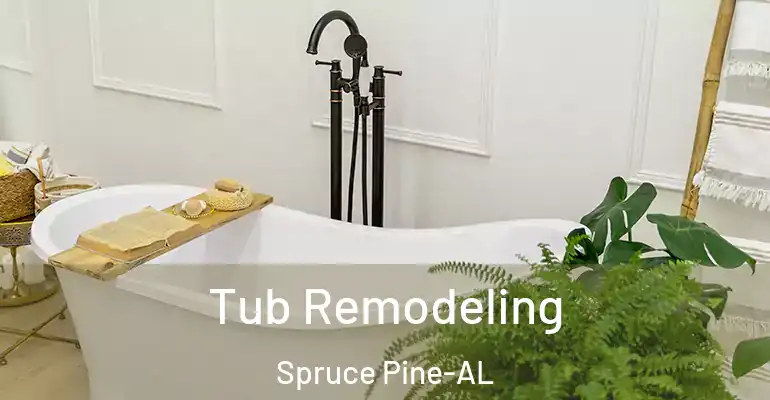 inner Bathroom imggen Tub Remodeling Spruce Pine-AL