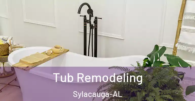 inner Bathroom imggen Tub Remodeling Sylacauga-AL