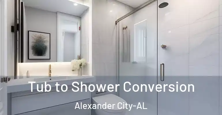 inner Bathroom imggen Tub to Shower Conversion Alexander City-AL