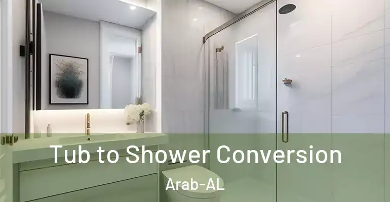 inner Bathroom imggen Tub to Shower Conversion Arab-AL