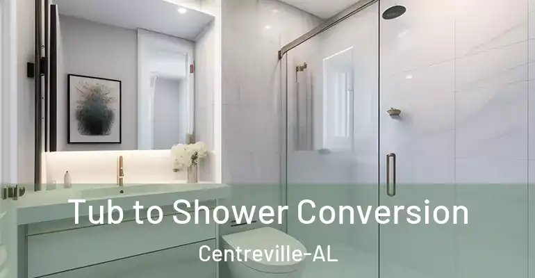 inner Bathroom imggen Tub to Shower Conversion Centreville-AL