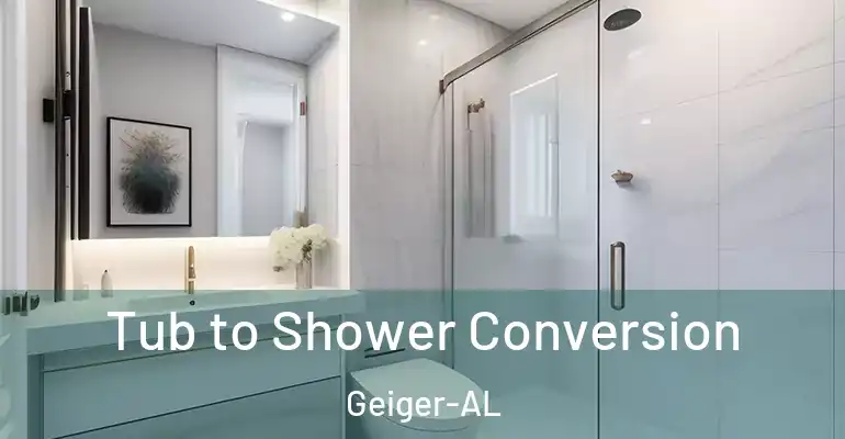 inner Bathroom imggen Tub to Shower Conversion Geiger-AL