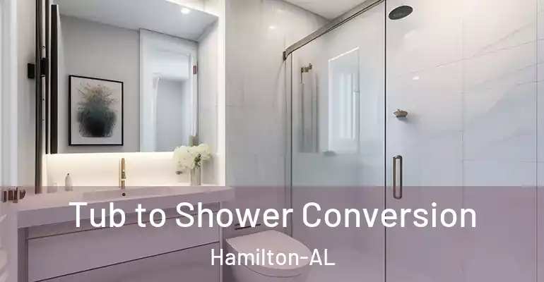 inner Bathroom imggen Tub to Shower Conversion Hamilton-AL
