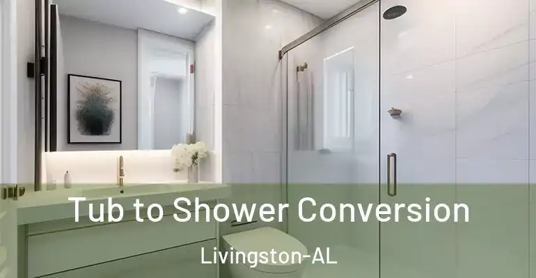 inner Bathroom imggen Tub to Shower Conversion Livingston-AL
