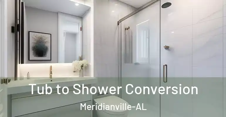 inner Bathroom imggen Tub to Shower Conversion Meridianville-AL