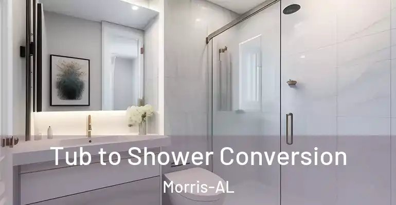 inner Bathroom imggen Tub to Shower Conversion Morris-AL
