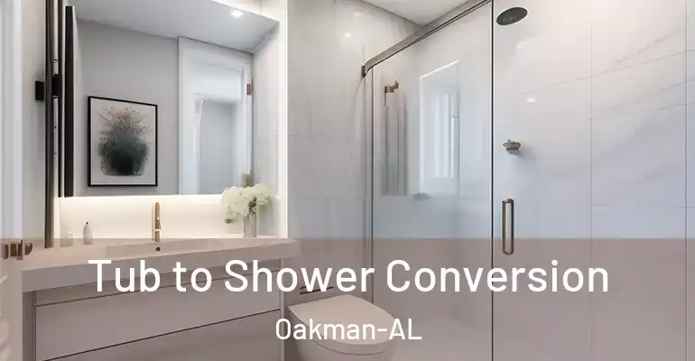 inner Bathroom imggen Tub to Shower Conversion Oakman-AL