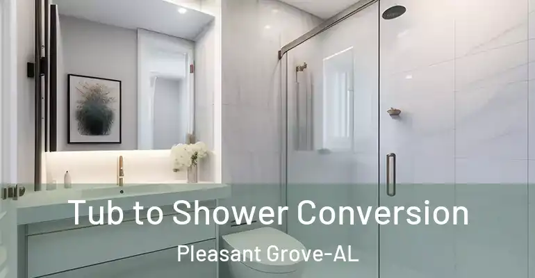inner Bathroom imggen Tub to Shower Conversion Pleasant Grove-AL