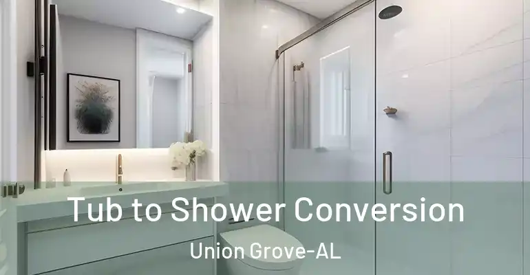 inner Bathroom imggen Tub to Shower Conversion Union Grove-AL