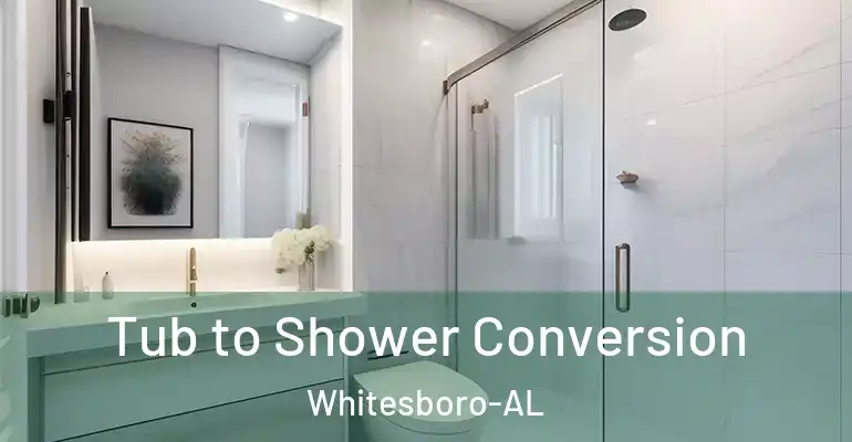 inner Bathroom imggen Tub to Shower Conversion Whitesboro-AL