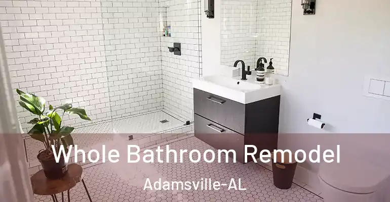 inner Bathroom imggen Whole Bathroom Remodel Adamsville-AL